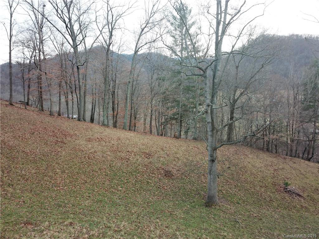 8617 Cruso Road Canton NC 28716