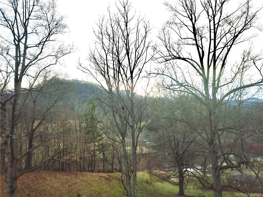 8617 Cruso Road Canton NC 28716