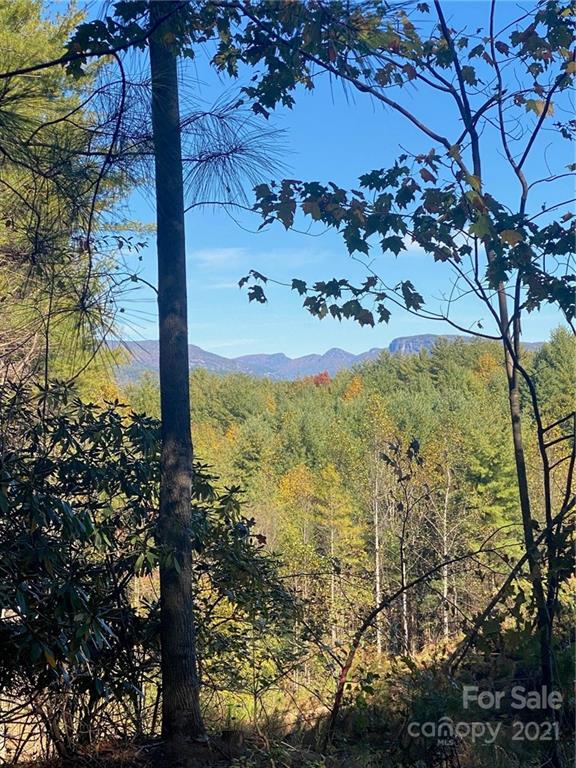111 Swallowtail Ridge Nebo NC 28761