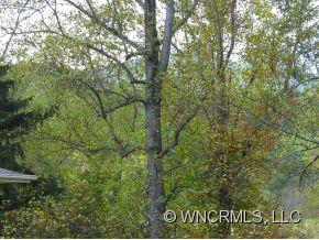 35 Wildwood Acres Road Asheville NC 28806