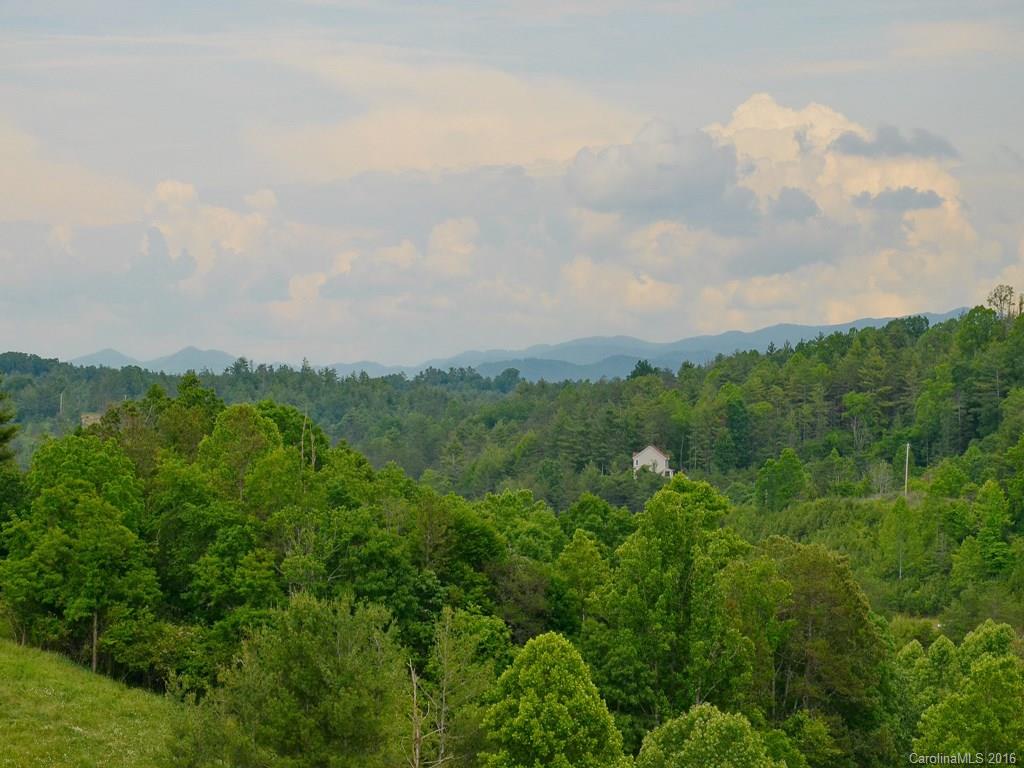 11 Territory Trail Weaverville NC 28787