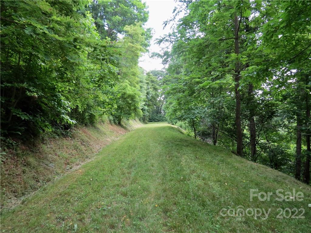 492 Freemont Drive Leicester NC 28748