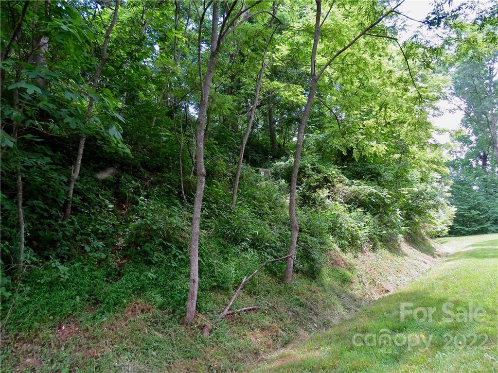 492 Freemont Drive Leicester NC 28748