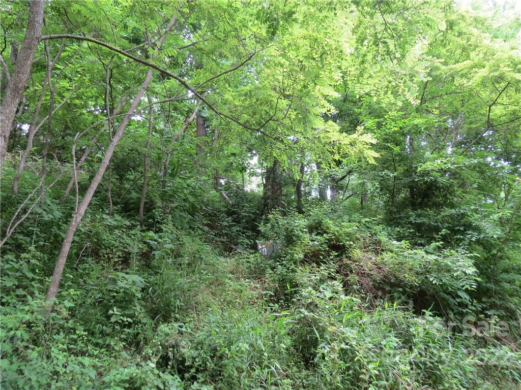 492 Freemont Drive Leicester NC 28748