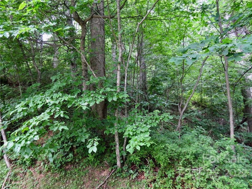 492 Freemont Drive Leicester NC 28748