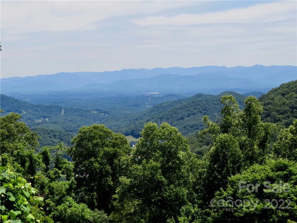 492 Freemont Drive Leicester NC 28748
