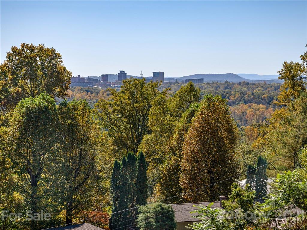 24 Lookout Road Asheville NC 28804