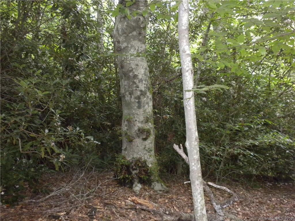 58 Reed Road Fairview NC 28730