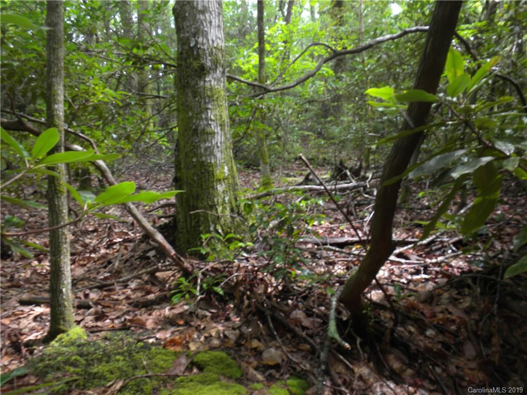 58 Reed Road Fairview NC 28730
