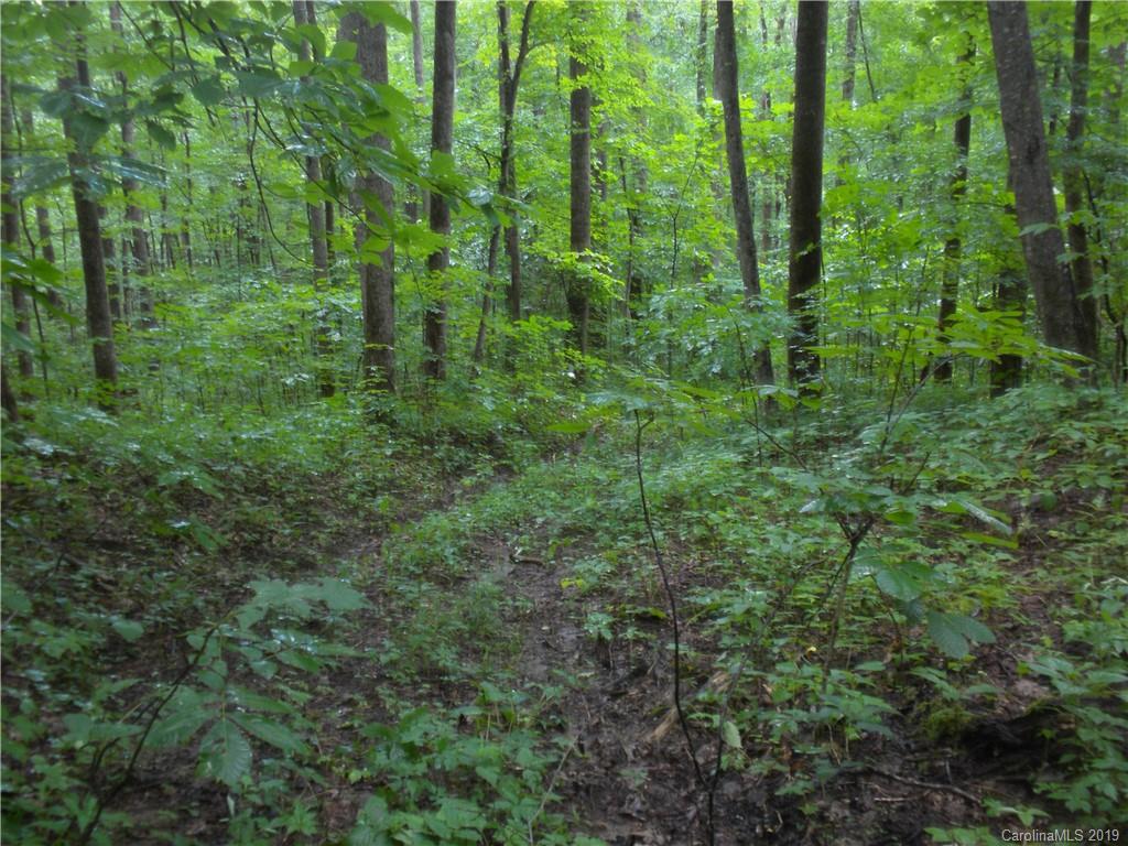 58 Reed Road Fairview NC 28730