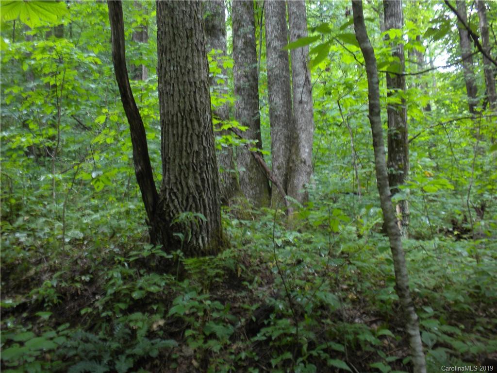 58 Reed Road Fairview NC 28730