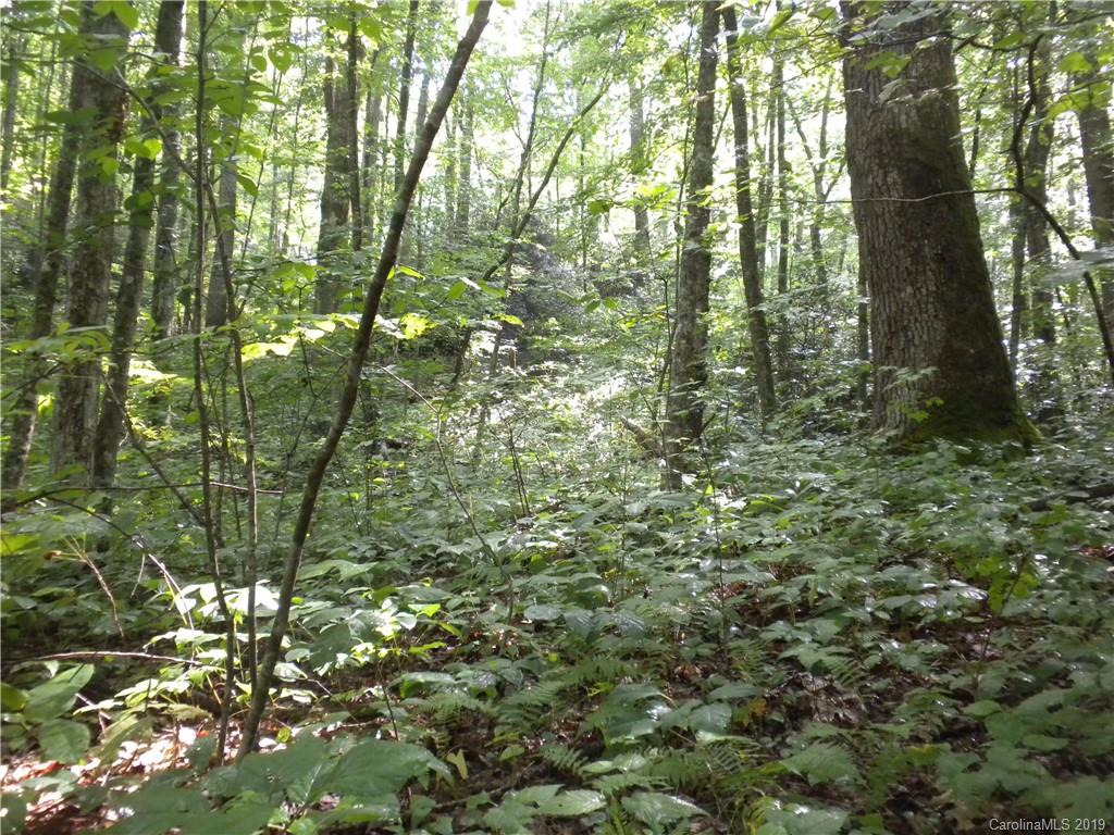 58 Reed Road Fairview NC 28730