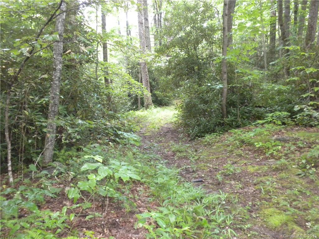 58 Reed Road Fairview NC 28730