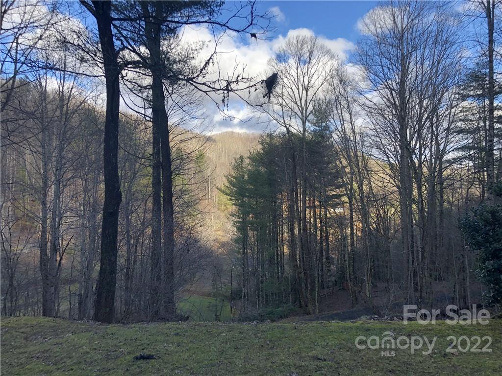 208 Autumn Leaf Trail Burnsville NC 28714