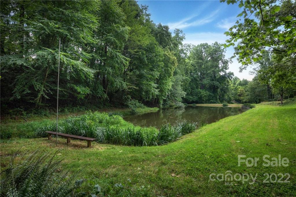 25 Mallonee Drive Candler NC 28715