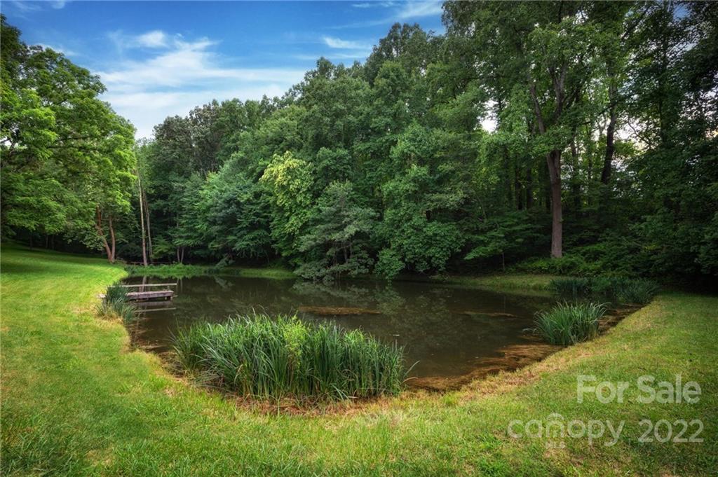 25 Mallonee Drive Candler NC 28715