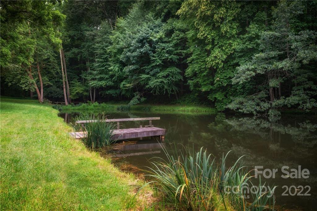 25 Mallonee Drive Candler NC 28715