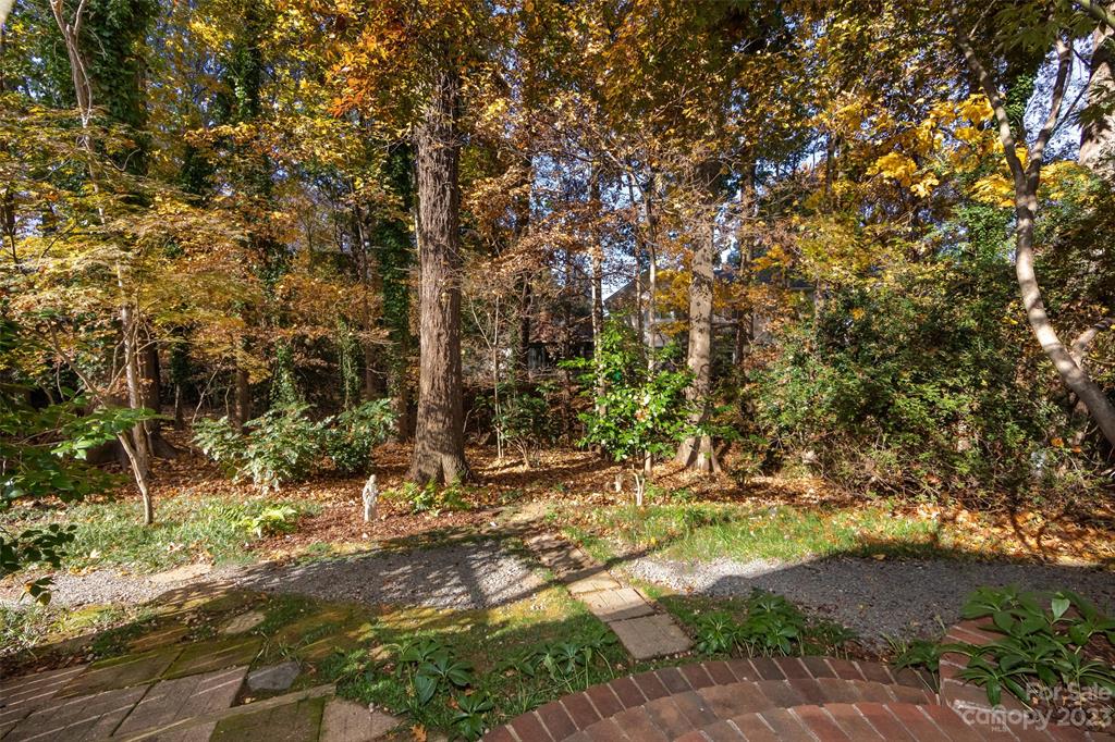 1060 Sardis Cove Drive Charlotte NC 28270