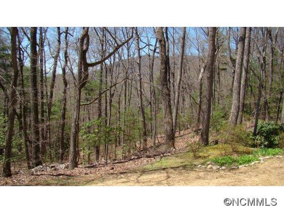 138 Churchill Downs Drive Fairview NC 28730