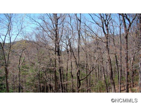 138 Churchill Downs Drive Fairview NC 28730