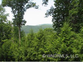 418 Canonero Drive Fairview NC 28730