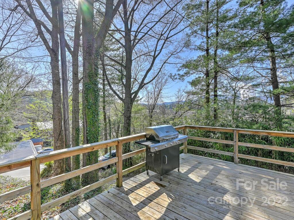 49 Mears Avenue Canton NC 28716