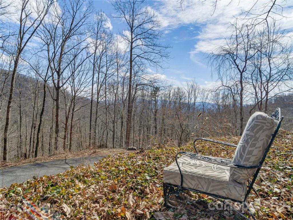 49 Weeping Cherry Forest Road Fairview NC 28730