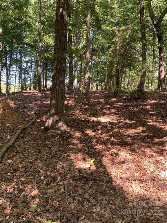 Lot 9r Eagle Pointe Drive Norwood NC 28128