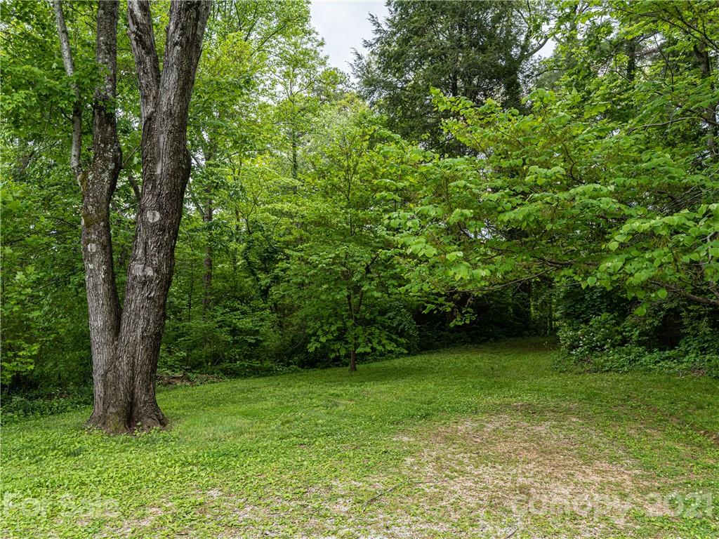 289 White Pine Drive Asheville NC 28805