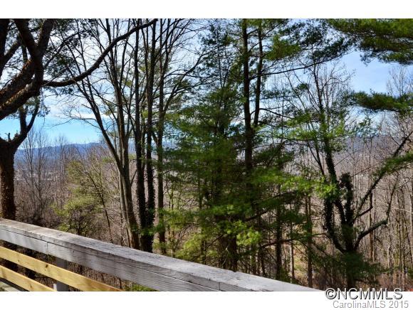 16 Mayflower Drive Asheville NC 28804