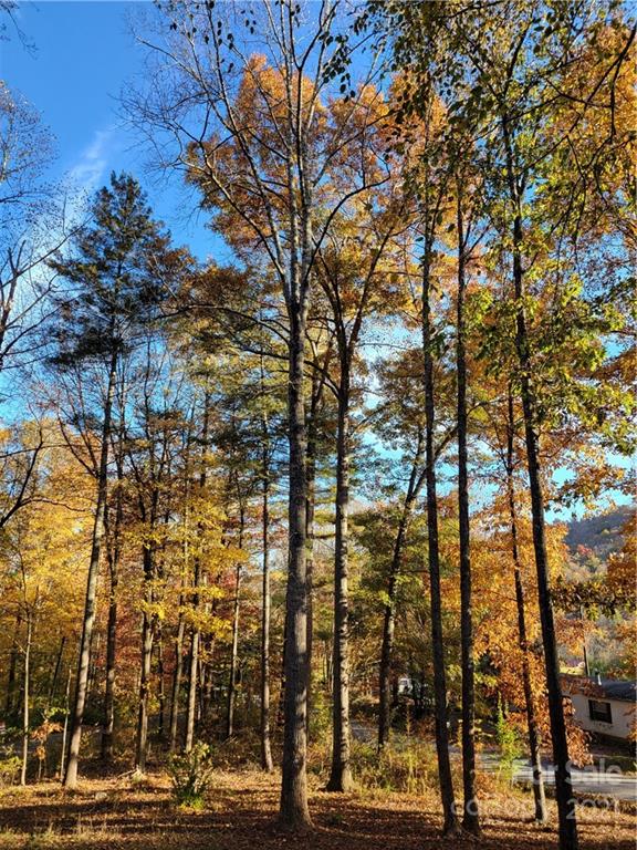 104 Mcelrath Road Arden NC 28704