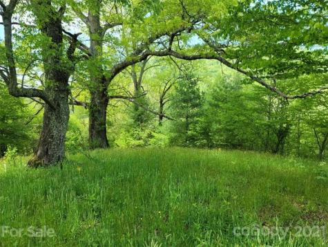 00 Prices Creek Road Burnsville NC 28714