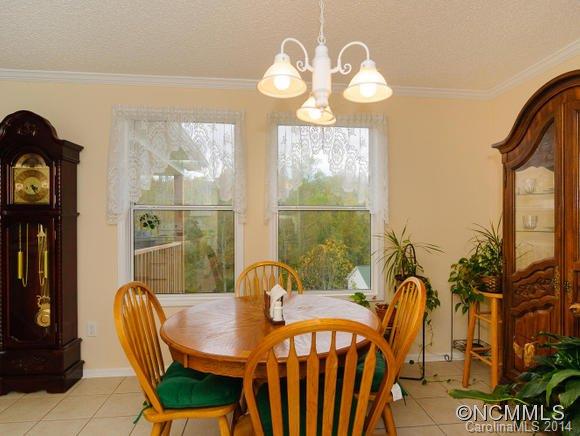 107 Robinson Cove Road Candler NC 28715