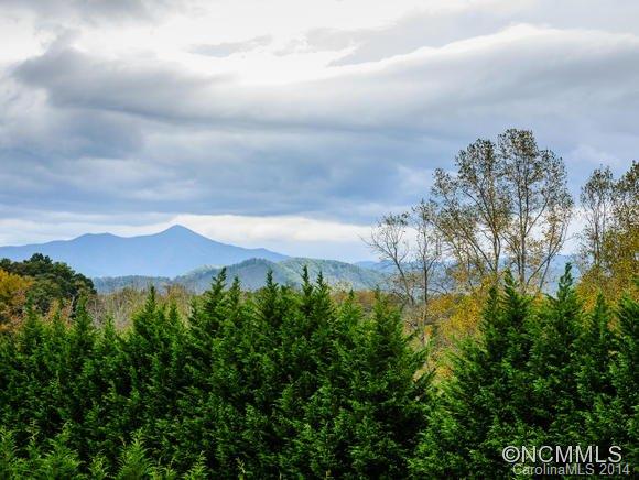 107 Robinson Cove Road Candler NC 28715