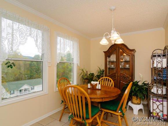 107 Robinson Cove Road Candler NC 28715