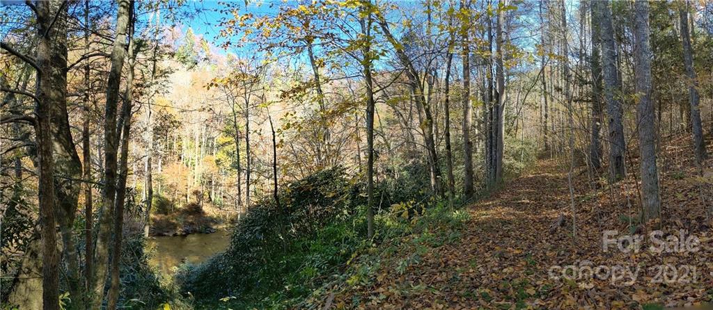 52 Bear Paw Trail Marshall NC 28753