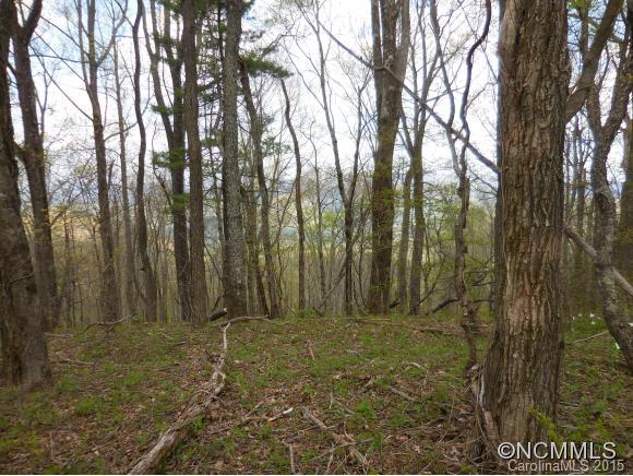 14 Windy Ridge Trail Asheville NC 28804
