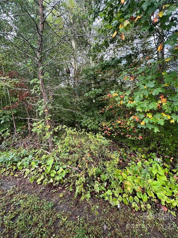 341 Sagewood Drive Marshall NC 28753