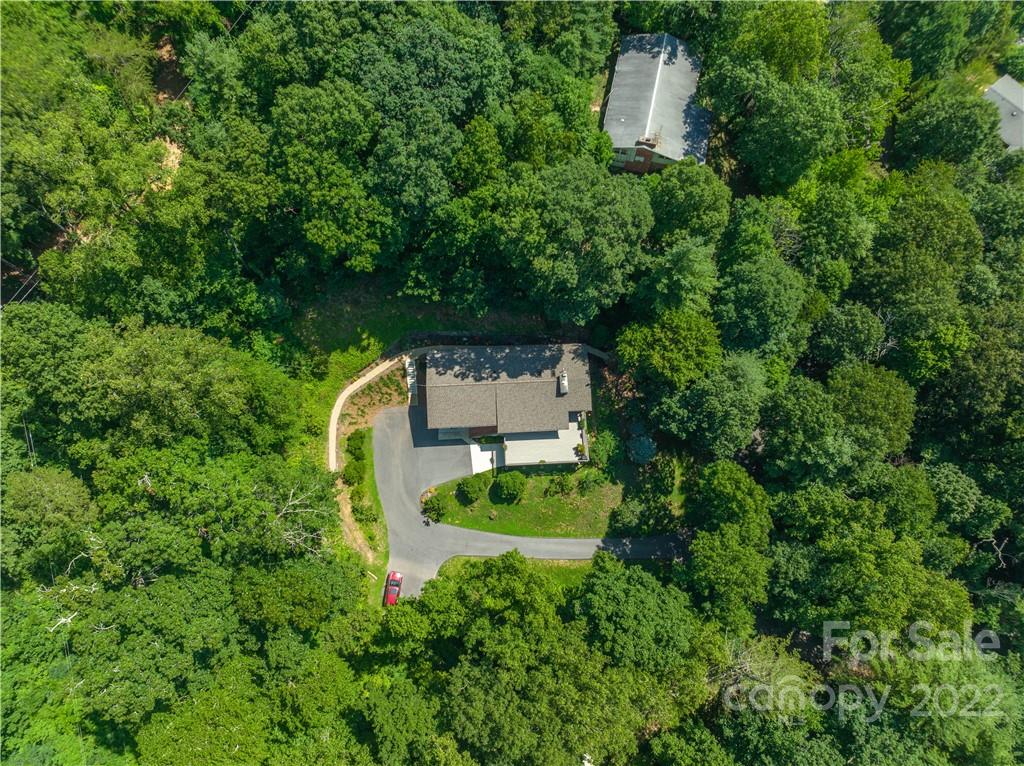 18 Brookwood Road Asheville NC 28804