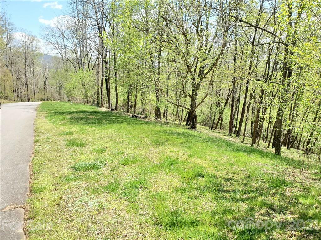103 Springhead Court Arden NC 28704