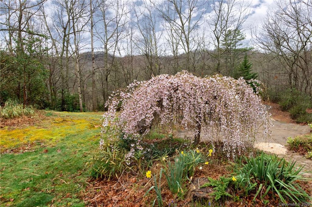 9 Wildcat Ridge Drive Fairview NC 28730