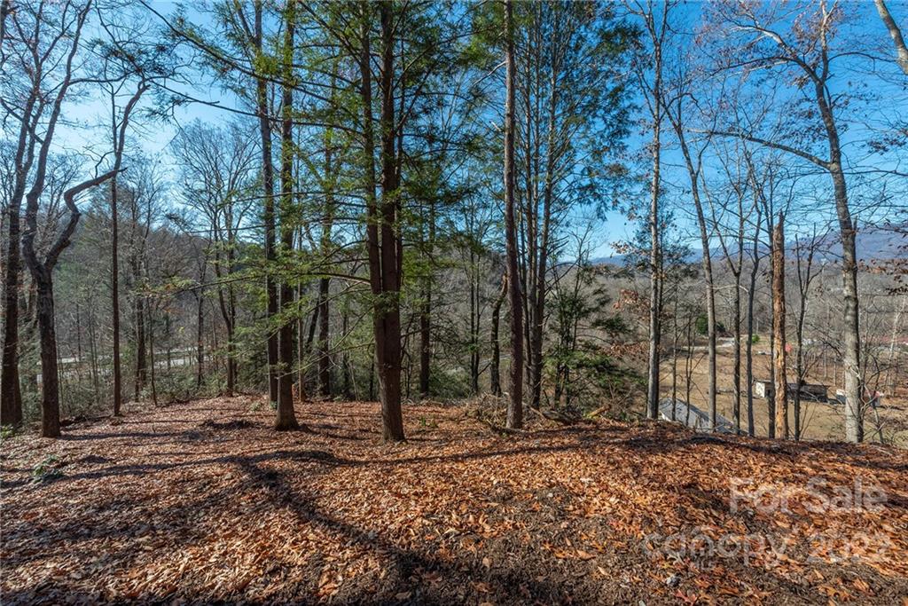 149 River Birch Drive Old Fort NC 28762