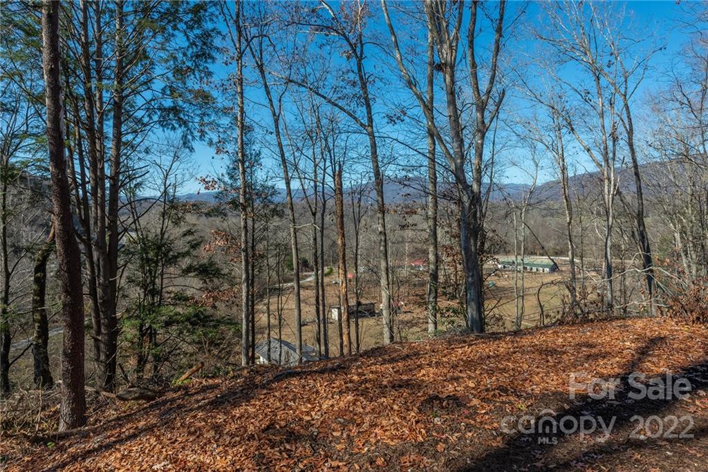 149 River Birch Drive Old Fort NC 28762