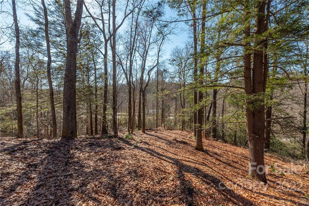 149 River Birch Drive Old Fort NC 28762