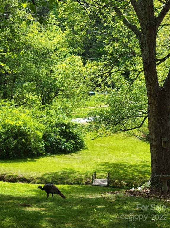 127 Dula Springs Road Weaverville NC 28787