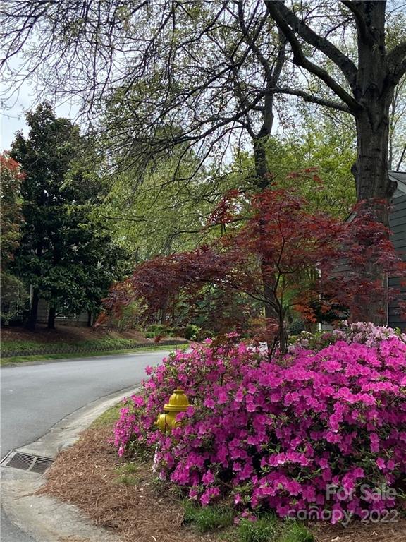 7036 Stoneridge Road Charlotte NC 28226