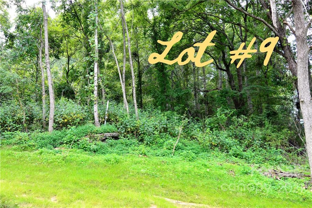 203 Fall Leaves Drive Fairview NC 28730