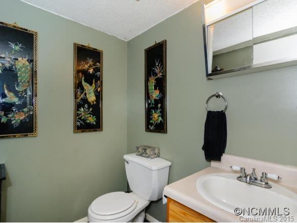 4 Blue Bird Lane Fairview NC 28730