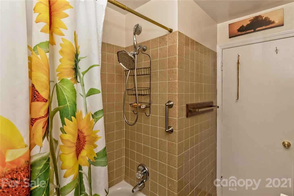 288 White Pine Drive Asheville NC 28805