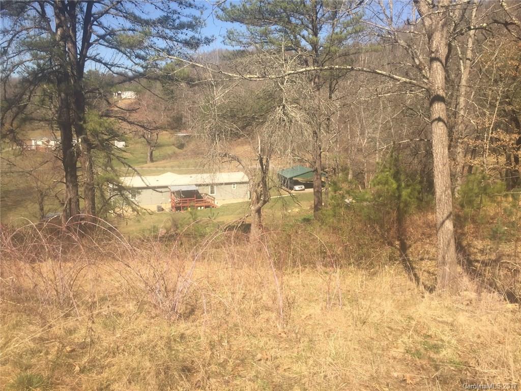 156 Tommy Howell Road Canton NC 28716